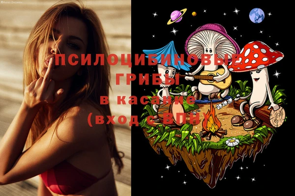 бошки Алексеевка