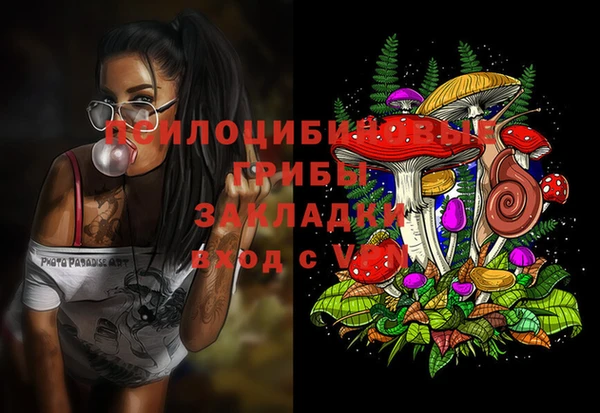 бошки Алексеевка