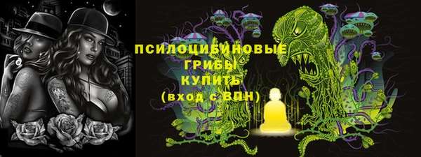 не бодяженный Алексин