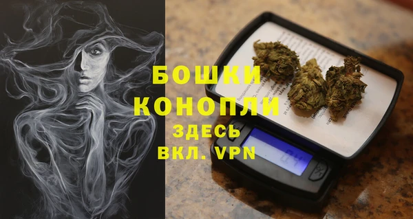 молекула духа Медвежьегорск