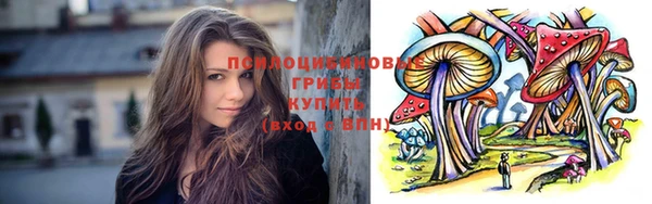 бошки Алексеевка