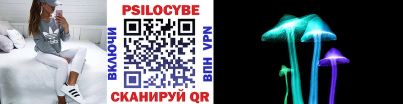 мега маркетплейс  Белгород  Галлюциногенные грибы Psilocybine cubensis  что такое наркотик 