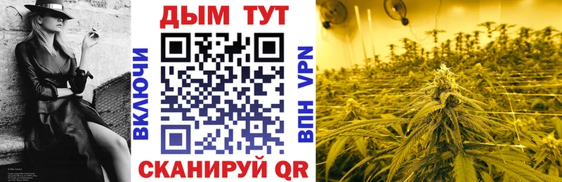Шишки марихуана VHQ  сайты даркнета клад  Белгород 